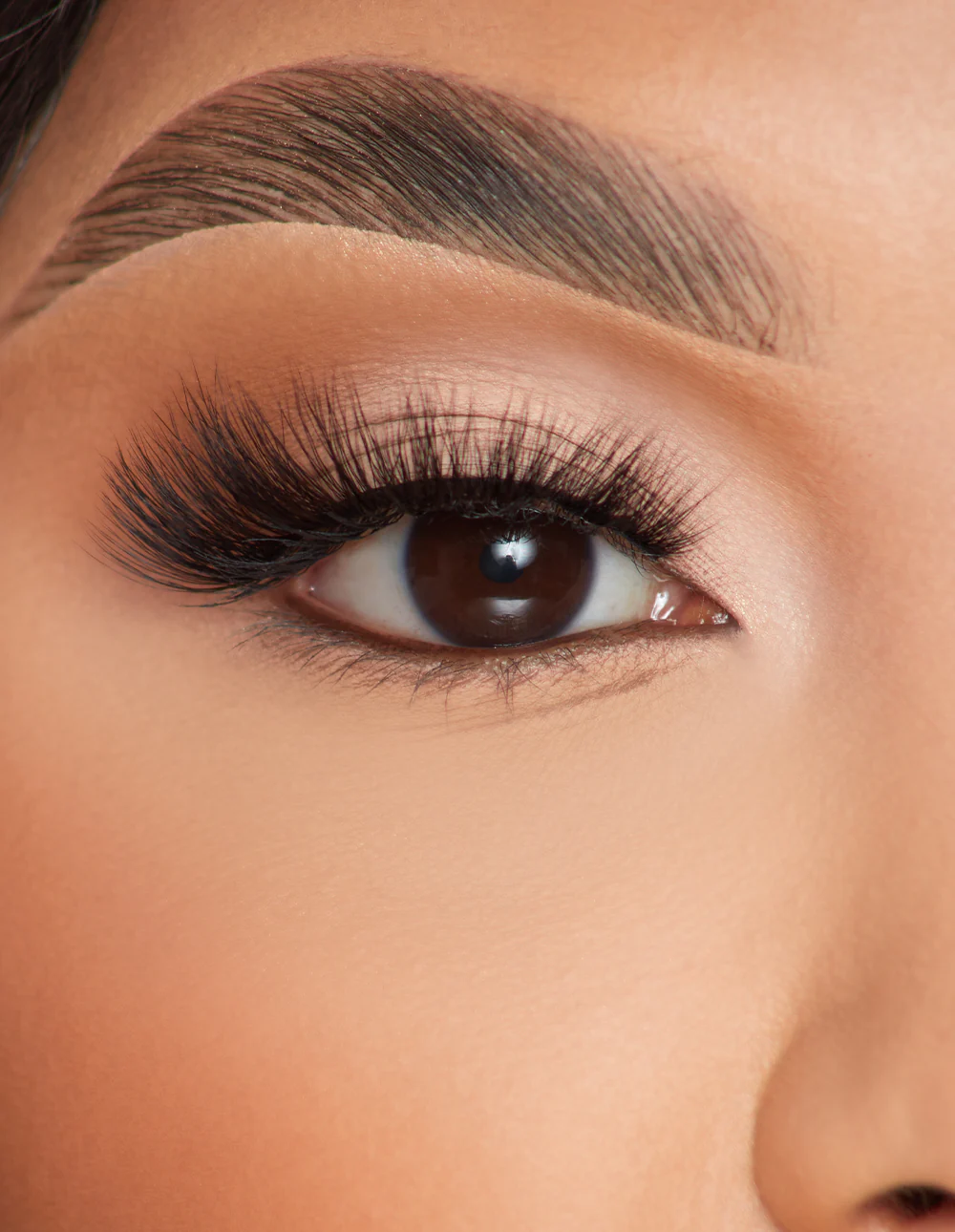Lashes - Feather Flair