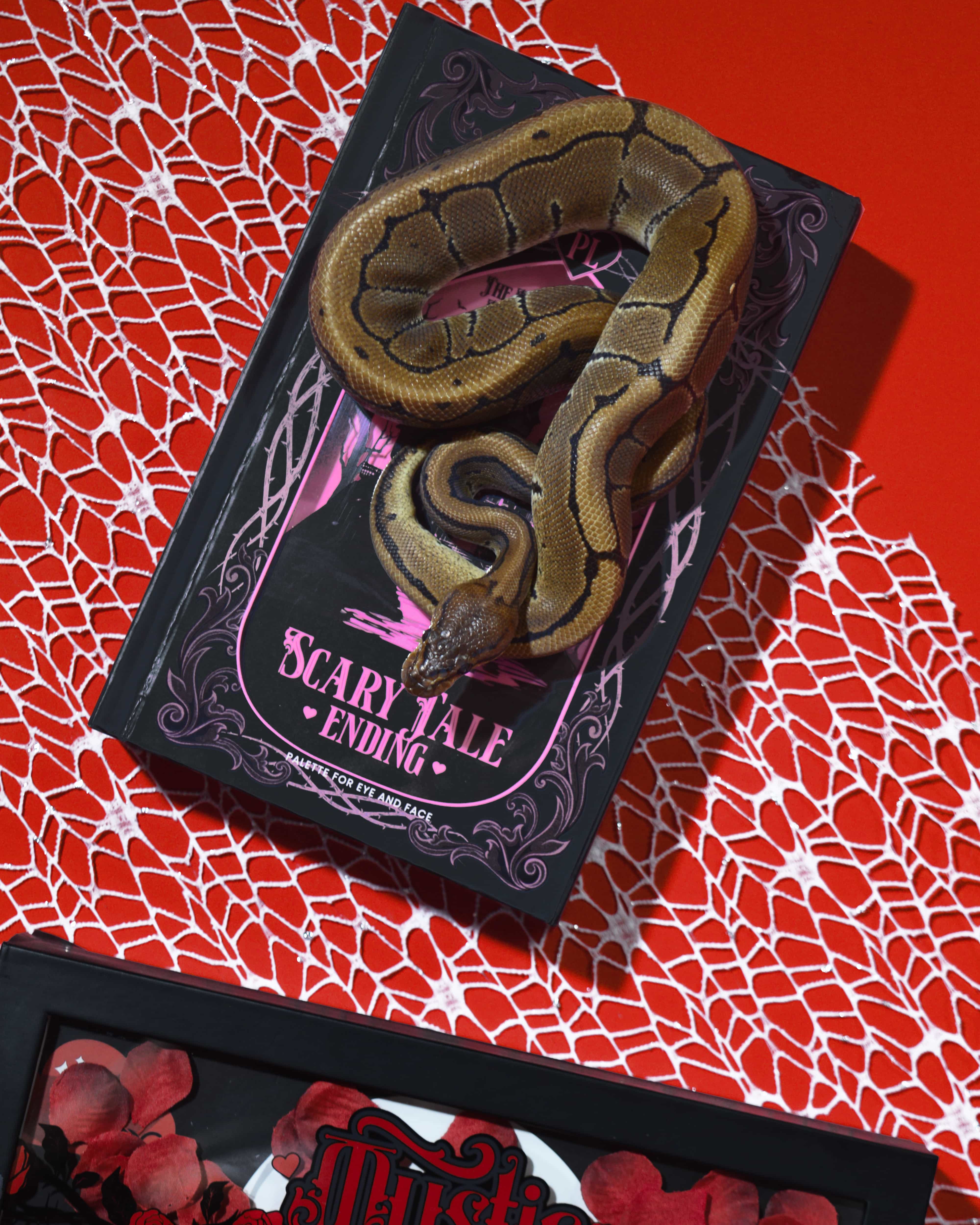 Scary Tale Ending Halloween Palette - Image 5